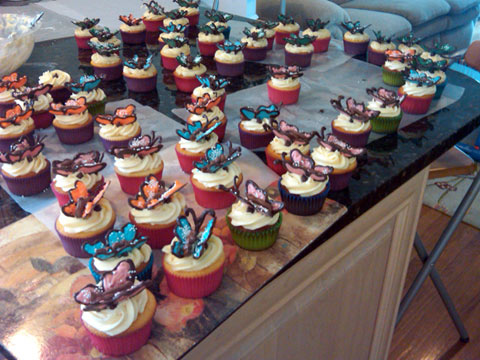 Many Butterfly Cupcakes