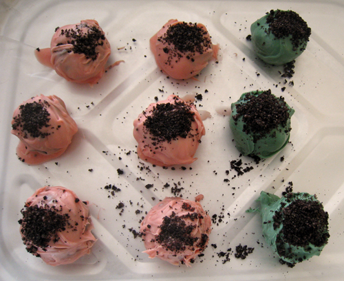 Set in Fridge Set in Fridge