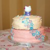 Back of Hello Kitty Cake