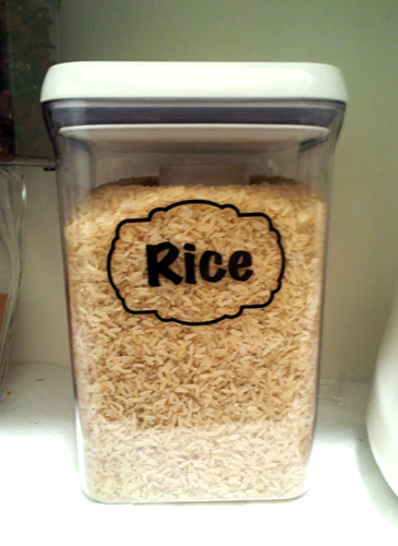 Rice Container